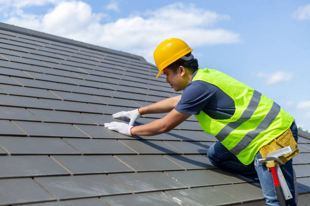 Best Roof Moss and Algae Removal  in Richmond, MI