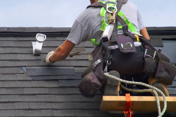 Best Roof Maintenance and Cleaning  in Richmond, MI