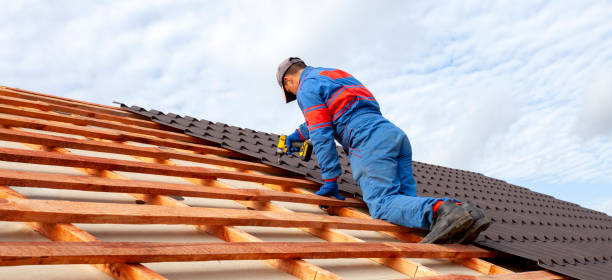 Best Roof Ventilation Installation  in Richmond, MI