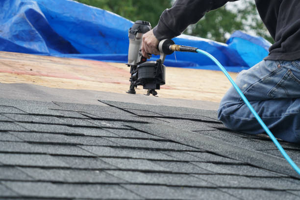 Best Roof Coating and Sealing  in Richmond, MI
